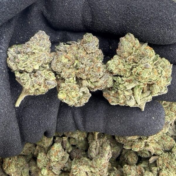 Strain- RS11